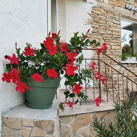 Сasa de vacaciones Vin Santo Vinarovo (Stara Zagora)