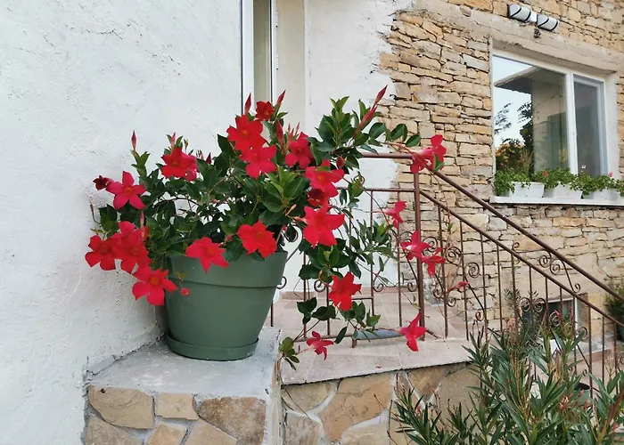 בית נופש Vin Santo Vinarovo (Stara Zagora)