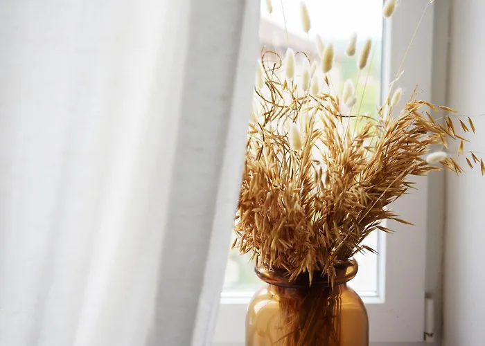 Vin Santo בית נופש Vinarovo (Stara Zagora)