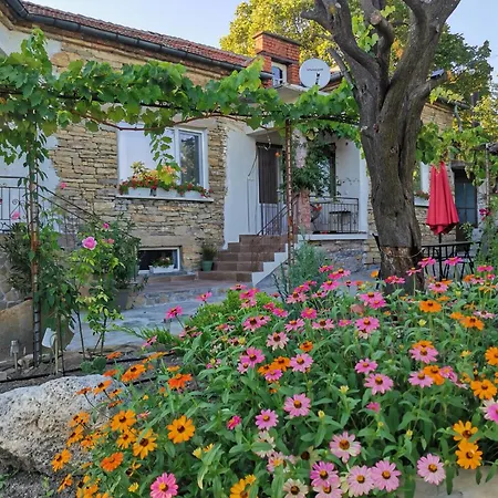 Hébergement de vacances Vin Santo