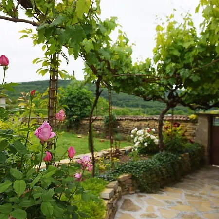 Vin Santo Casa de Férias