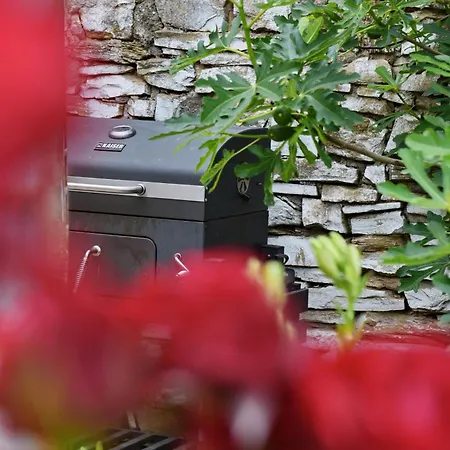 Vin Santo Hébergement de vacances