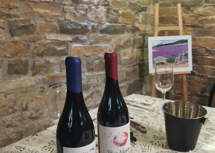 Nyaraló Vin Santo Vinarovo