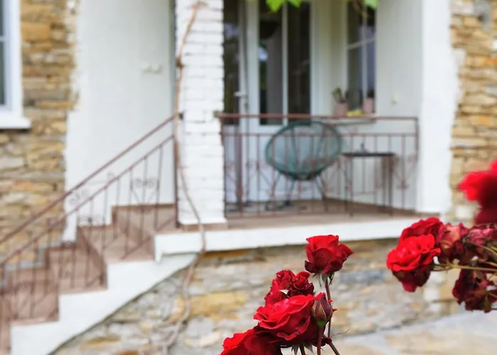 Vin Santo * Vinarovo